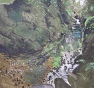 portfolio191